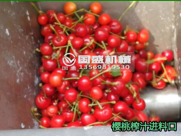 耐腐蝕不銹鋼螺旋壓榨機(jī) 耐腐蝕不銹鋼螺旋壓榨機(jī)